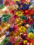 Dry Flowers